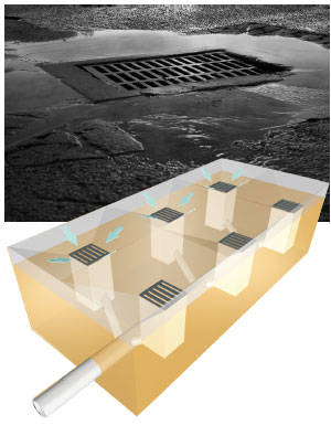 1651160536.jpg 1651160536.jpg